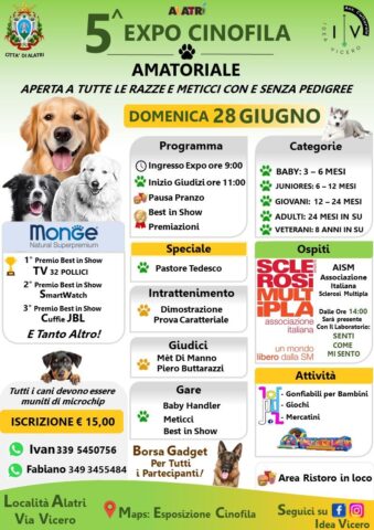 L'immagine attuale non ha un testo alternativo. Il nome del file รจ: ALATRI-1.jpg