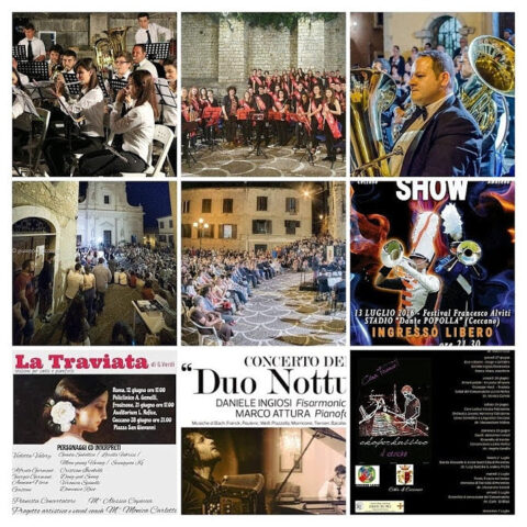 L'immagine attuale non ha un testo alternativo. Il nome del file è: alviti.jpg