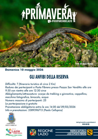 L'immagine attuale non ha un testo alternativo. Il nome del file è: riserva.jpg
