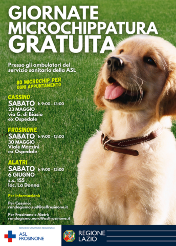 L'immagine attuale non ha un testo alternativo. Il nome del file รจ: veterinario.png