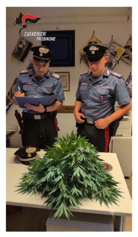 L'immagine attuale non ha un testo alternativo. Il nome del file รจ: CARABINIERI.jpg