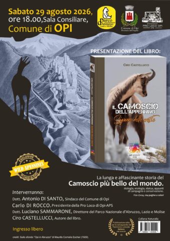 L'immagine attuale non ha un testo alternativo. Il nome del file รจ: CIRO-CASTELLUCCI.jpg
