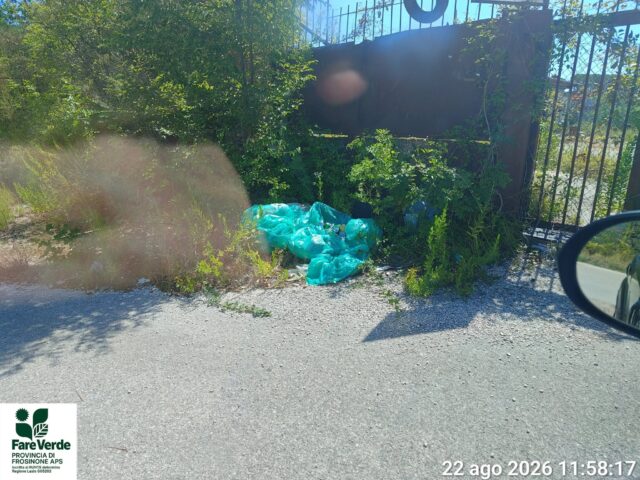 L'immagine attuale non ha un testo alternativo. Il nome del file รจ: rifiuti.jpg