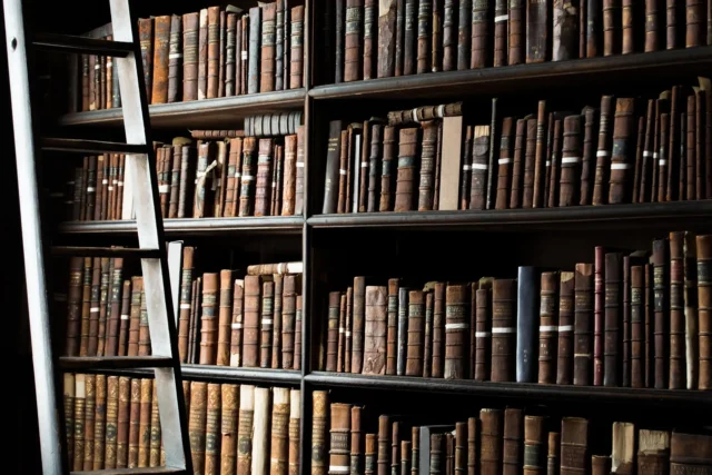 L'immagine attuale non ha un testo alternativo. Il nome del file è: biblioteca.webp
