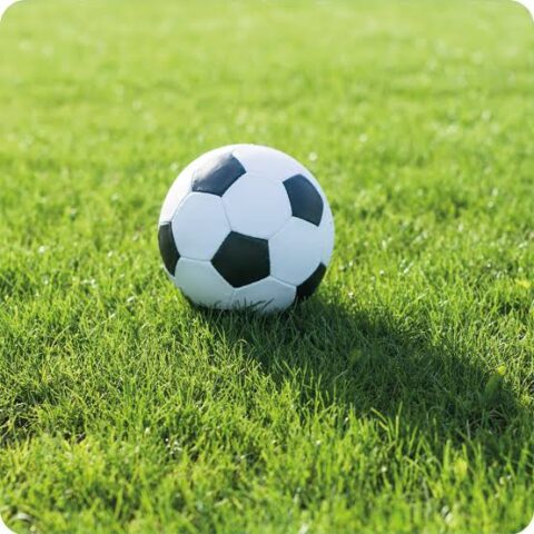 L'immagine attuale non ha un testo alternativo. Il nome del file รจ: calcio.jpg